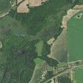 Neighbor dispute over removed property stakes