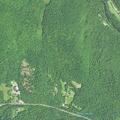 9-year-old possibly septic near Dew Road in Barkhamsted
