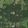 68-year-old male injured by fallen tree in woods
