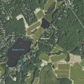 Person falls and hits head near Wenham Road