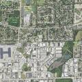 Person acting oddly near tree near Addison