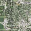 18-year-old female bitten by dog in Rochelle