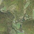 Diabetic woman with fever and vomiting at Starrucca Creek Rd