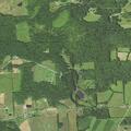 79-year-old man injured by fallen tree in woods
