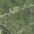 76-year-old man falls and suffers possible neck injury