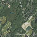 Juvenile restrained during fight/disturbance near a school area in Carver