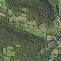 88-year-old male falls and is weak at Carmalt Lake Road