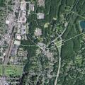 Man unconscious from bee sting allergic reaction in Kingston