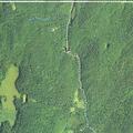 Person in pain after previous vehicle accident in woods