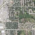 Loose dogs reported on 28th Avenue Southwest