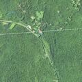 Tree on power lines causes road closure