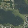 90-year-old female having seizure at Cottage Grove St