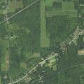 Male with fever near East Springfield