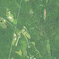 34-year-old male fall victim needing pain management