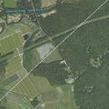 Deer found on roadside near Maple Street mailbox