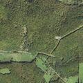 UTV overturned on trail trapping person's leg in Shinglehouse