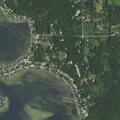 Deer behaving strangely in lake near Ferndale Drive