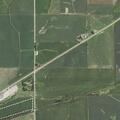 Cow loose near Highway 136 by Lost Nation