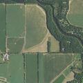 Walnut tree larceny reported near Brandt Rd and Deno Rd