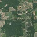 Downed power line causing yard fire risk