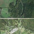 Woman falls and injures shoulder near Elkland