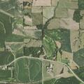 Cattle reported on roadway on Highway 136