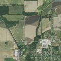 Loose dog reported near Lake Manor Road