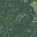 78-year-old woman reported dizzy at home in Woodstock