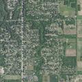 87-year-old man with back pain after fall in Stevensville