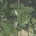 Injured beagle found near roadway on East M-50