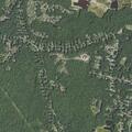 Driver likely hit deer and left scene