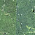 75-year-old man requires medical aid on Prock Hill Road