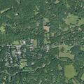 80-year-old woman feeling lightheaded near Manor Drive