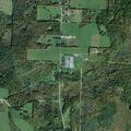 Tree on wire near County Route 99 in Woodhull Elmira area