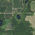 Loose dog near campground concerns campers