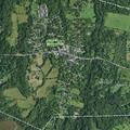 Man has allergic reaction to bee sting in Tivoli
