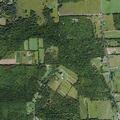 Person with altered consciousness near Chemung