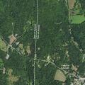 Tree blocking State Route 82 near Wildflower Hill