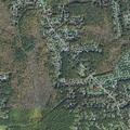 Person vomiting with stomach pains at Stonehill Road
