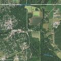Female having allergic reaction near Woodruff Street