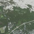 90-year-old female unable to walk at Seashore Park Drive