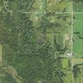 Ill female reported near Half Moon Road