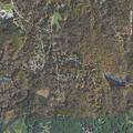 Officer checks parked vehicle in wooded area