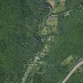 Elderly male found confused near Ostrander Road, Windsor