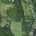 Woman with pacemaker falls near Allen Street in Sanford