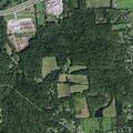 95-year-old male falls and suffers possible head injury