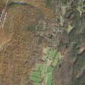 Power outage caused by tree down on road