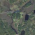 Tree blocking Morse Road traffic