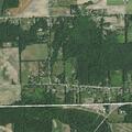 Tree fire reported on Torrey Road