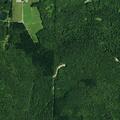 Criminal mischief reported on Pierce Run Road